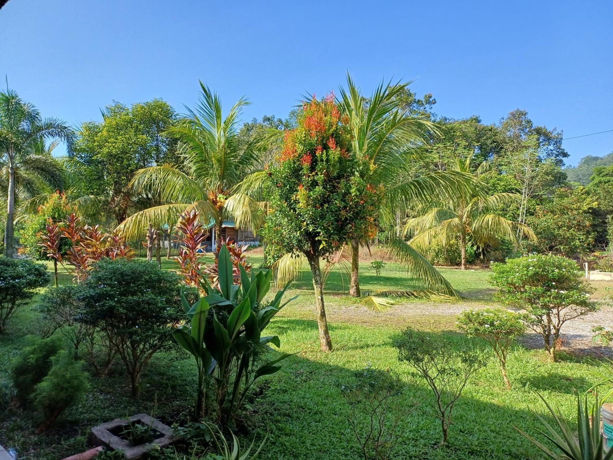 Lemuni Retreat & Training Centre - Kerling, Selangor Hotel Luaran gambar