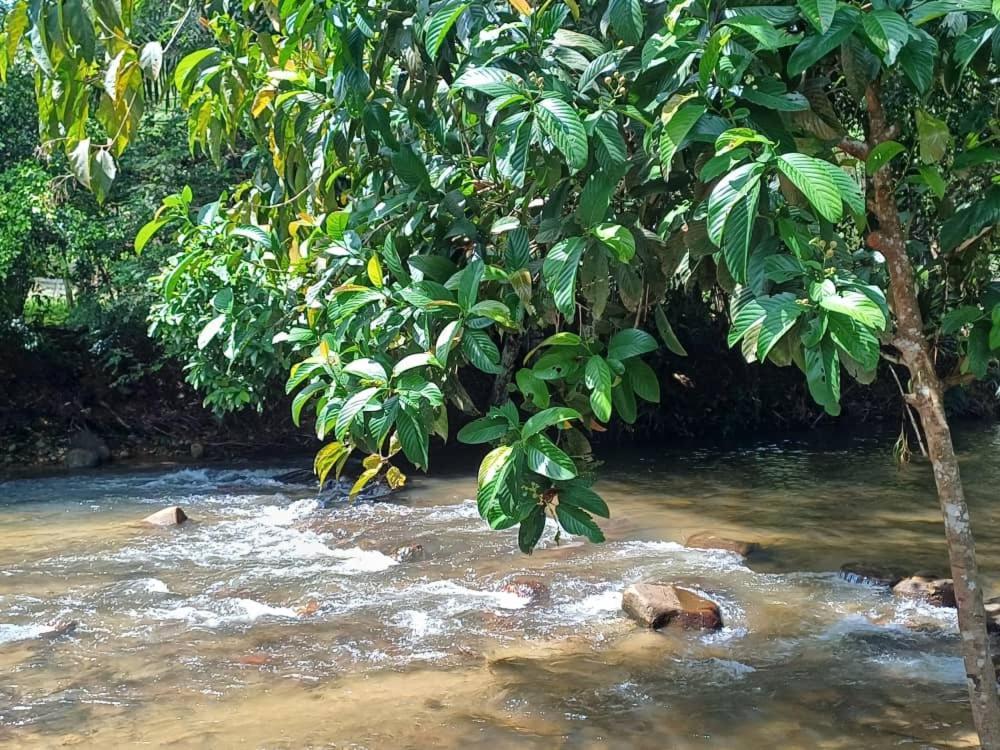 Lemuni Retreat & Training Centre - Kerling, Selangor Hotel Luaran gambar